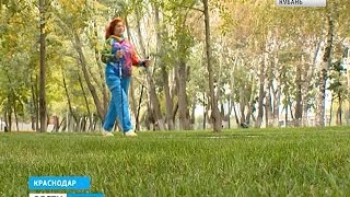 В Краснодаре пенсионеры устраивают забеги по скандинавской ходьбе