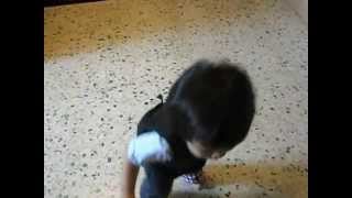 amro warakkah in gangnam style dance