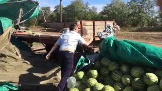 Полицейский беспредел трасса М4 Дон Ростовская обл. Тарасовский р-н. 8 сентября 2016г. (часть 4)