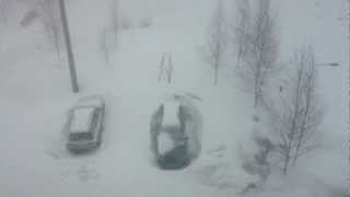 Снежная буря в Минске