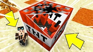 COSA C'È DENTRO LA TNT DI MINECRAFT?!