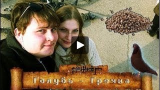 Вложки - Голубь Гречка (перезалито)