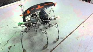 Робот жук. Beetle robot.