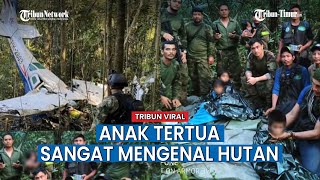 Fakta 4 Anak di Amazon Bisa Bertahan Hidup, Mukjizat dan Tradisi Keluarga Selamatkan Mereka