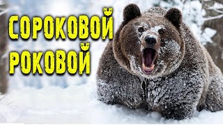 ? МЕДВЕДЬ ШАТУН! Встреча с медведем !