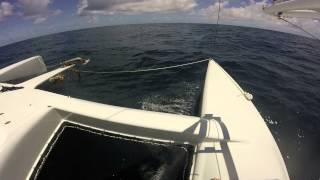 barrink catamaran