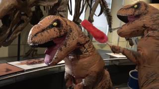 T-rex cleaning duo!