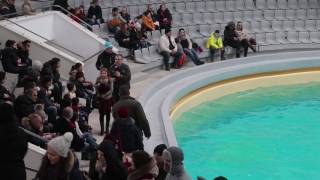 Contemplarea lumii din afara ei - vederea în culori
