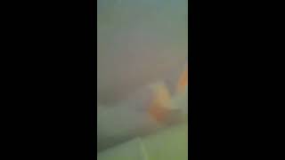 Friends sister explosive diarrhea
