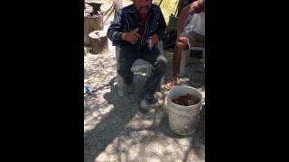 Chistes de Javier Tamez (El Adivino )