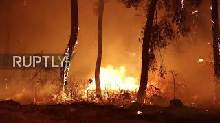 Greece: Locals and firefighters continue efforts to tackle wildfires in Evia