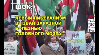 ШОК: Левый либерализм вызван заразной болезнью головного мозга!