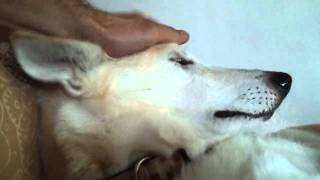 Samsung Fascinate 720p Video Sample #3
