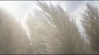 Addex - When I See You feat. Eskadet