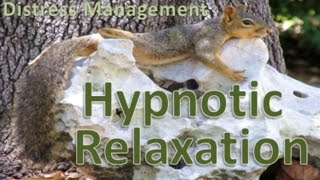 STGEC & CTRC: Hypnotic Relaxation (2016)