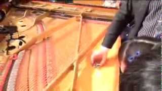 ピアノ大図鑑！ ♯2/18 響板にオルゴールを響かせてみよう Prepared Piano