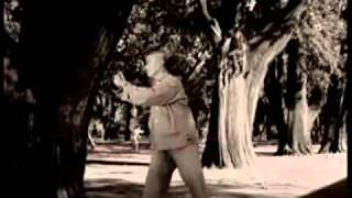 Taijiquan in the 50's