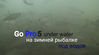 Зимняя рыбалка: подводная съемка зимой подо льдом