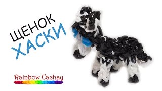 Плетение щенка хаски. Плетение из резинок loom bands. Плетение из резинок.