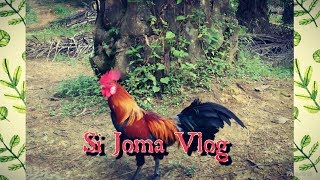 Si Joma Vlog Episod 5 — Tapau Bawah 10 Minit 4/9/2019 | Si Joma 10..