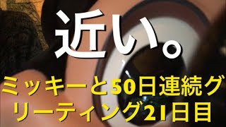 ミッキーと50日連続グリーティング21日目〜近い〜 my Disney tour day 21 I meet Mickey Mouse