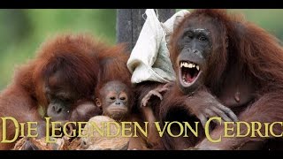 Die Legenden von Cedric | (GER) | #Kindheitsgeschichten
