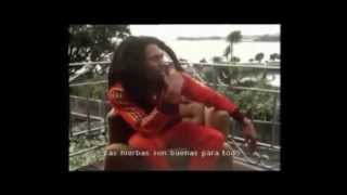 Bob Marley Legalizacion Marihuana