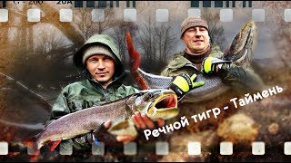Речной тигр - Таймень (сплав по таёжной реке 2018 год)