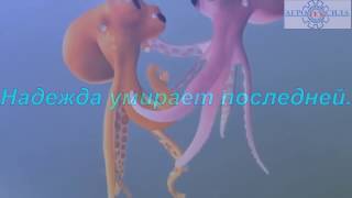 Мотивирующие мультфильмы для бизнеса. Надежда умирает последней! Агротехсила.