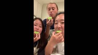 matcha cookie tutorial