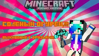Minecraft PE ВЫЖИВАНИЕ С ДРУЗЬЯМИ!!! 8 серия. Соленый огурец