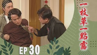 一枝草一點露 EP30