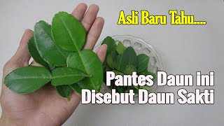 HANYA MENGGUNAKAN REMPA.REMPAH INI, LIHAT YANG TERJADI PADA TUBUH.K.ALIAN