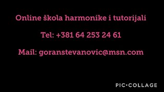 Jesen u mom sokaku - harmonika uzivo