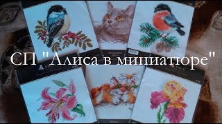 Вышивка крестом: Еще одно СП!!! "Алиса в миниатюре"