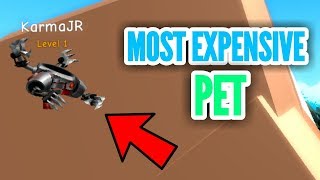 [3 CODES] BUYING THE MOST EXPENSIVE PET! | Weight Lifting Simulator 3 | ROBLOX
