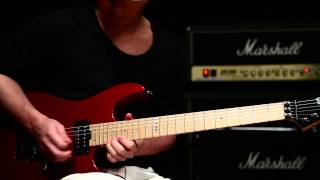【Qsic】ESP M-II DX Maple Deep Candy Apple Red '11【売約済】