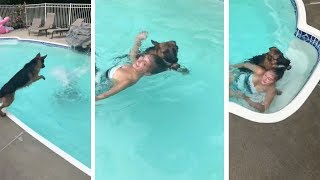 Dog Rescues 'Drowning' Owner From Pool