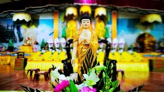 ? Trực Tuyến Lễ Chuyển Trái Tim Đức Phật Lên Tầng 11 Đại Tượng Phật A Di Đà Chùa Khai Nguyên - Ngày