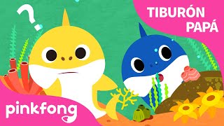 ¿Dónde Está Tiburón Papá? | +Recopilación | Canta con Tiburón Bebé | Pinkfong Canciones Infantiles