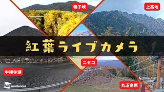 絶景【紅葉ライブカメラ】ニセコ・鳴子峡・中禅寺湖・丸沼高原・上高地 11月13日(日)