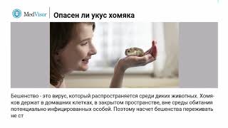 Что делать, если ребенка укусил хомяк?