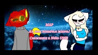 M.A.P{ЗАКРЫТ}| Ах, эта прекрасная кошачья жизнь! | Neko USSR и Снежинка (14/14)