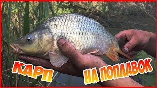 ВЕСЕННЯЯ РЫБАЛКА НА ПОПЛАВОК В МАЛЫХ РЕКАХ, ЛОВЛЯ КАРПА, СОМА , КАРАСЯ.