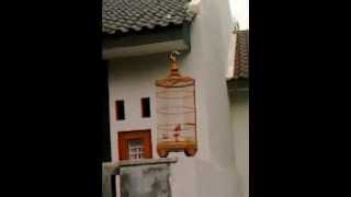 Branjangan Pati Hovering