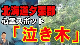 【一人語り】北海道の心霊スポット「泣き木」、怪談王名古屋大会詳細　ATL4th39