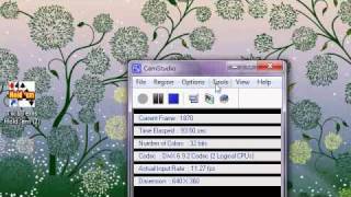 My reccomended camstudio settings