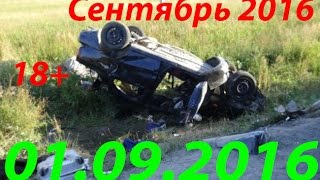 Новая Подборка Аварий и ДТП 18+ Сентябрь 2016 || Кучеряво Едем
