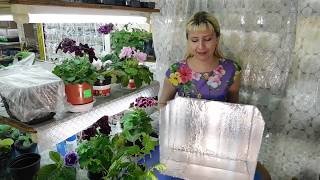 ???БЕСПЛАТНАЯ ПОДСВЕТКА ДЛЯ РАССАДЫ ! ЛАЙФХАК ! Если растения вытянулись