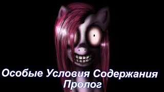 My Little Pony/Фанфик - Особые Условия Содержания - Пролог